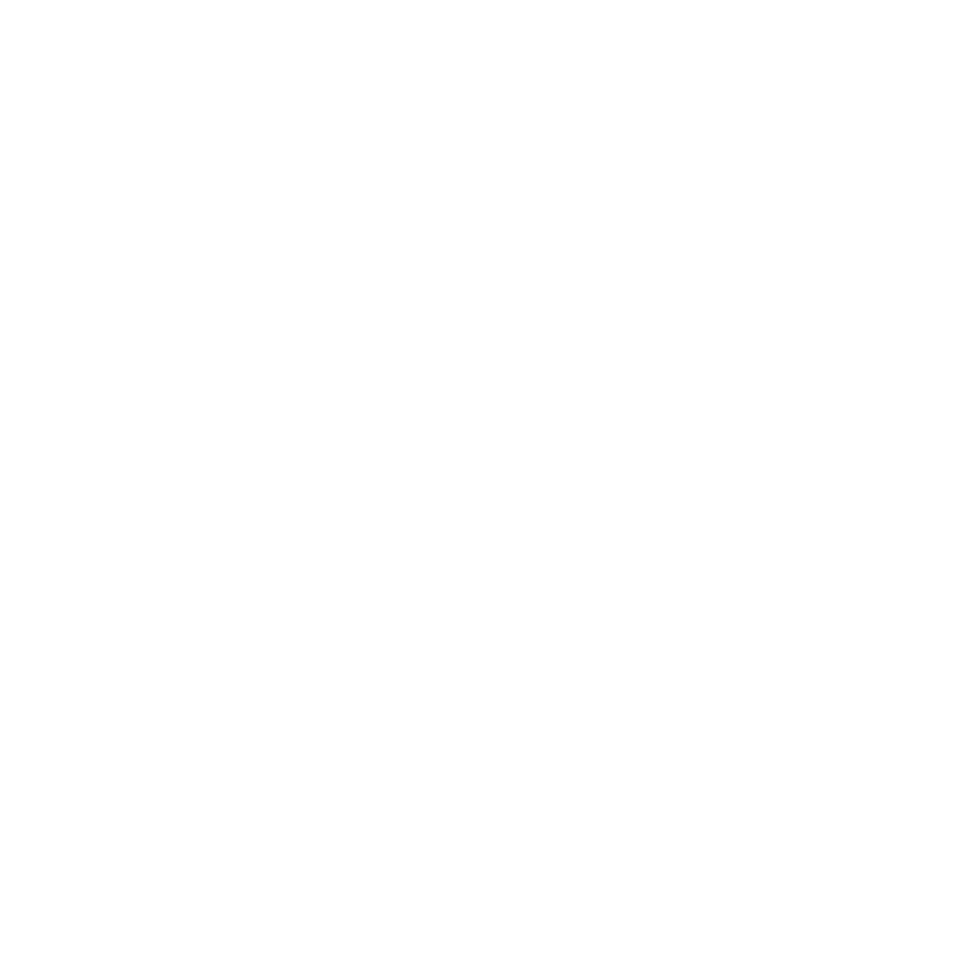 TechniqLY Consulting